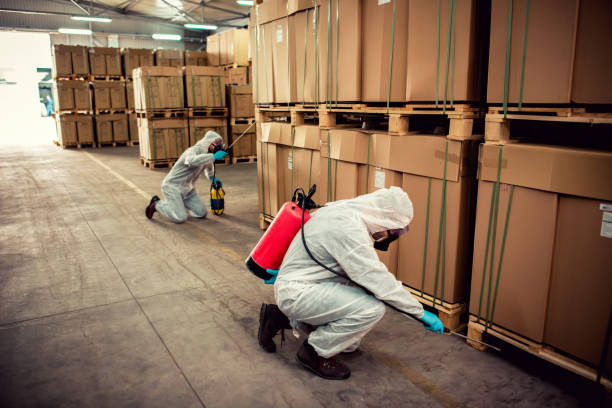 Best Cockroach Control Services  in Central, TN