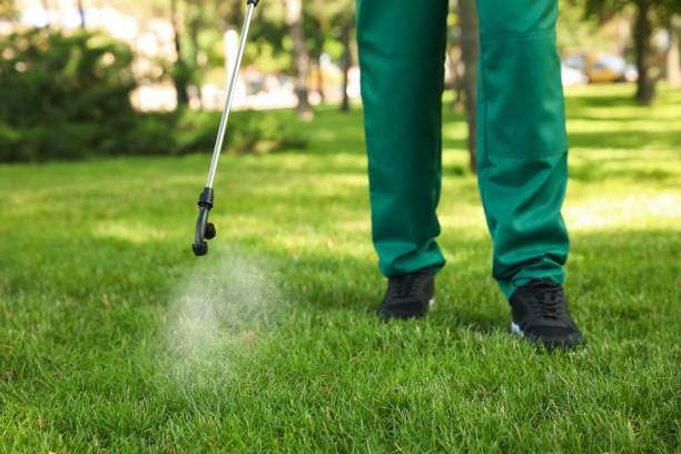 Professional Pest Control in Central, TN