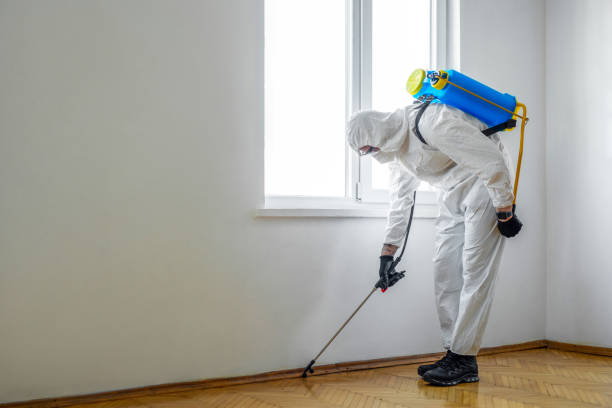 Best Wasp Removal Services  in Central, TN