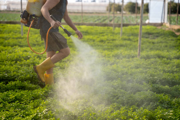 Best Commercial Pest Control Services  in Central, TN